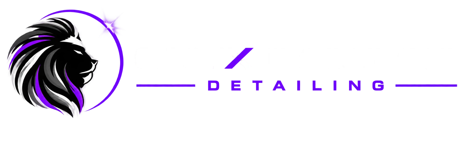 Onyx Darkline Detailing